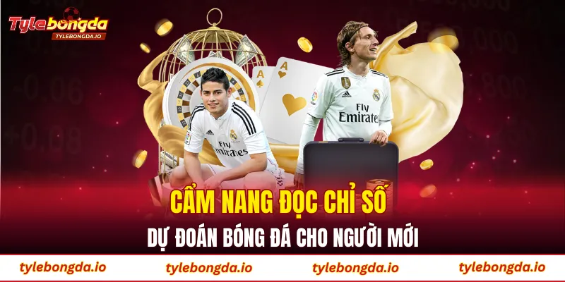 Cẩm nang đọc chỉ số dự đoán bóng đá cho người mới