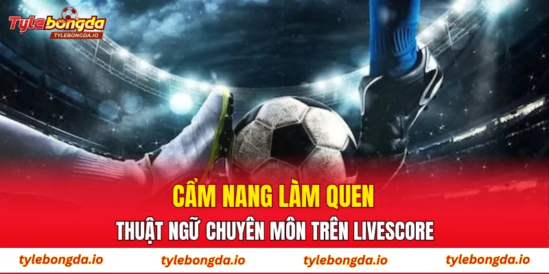 Cẩm nang làm quen thuật ngữ chuyên môn trên Livescore