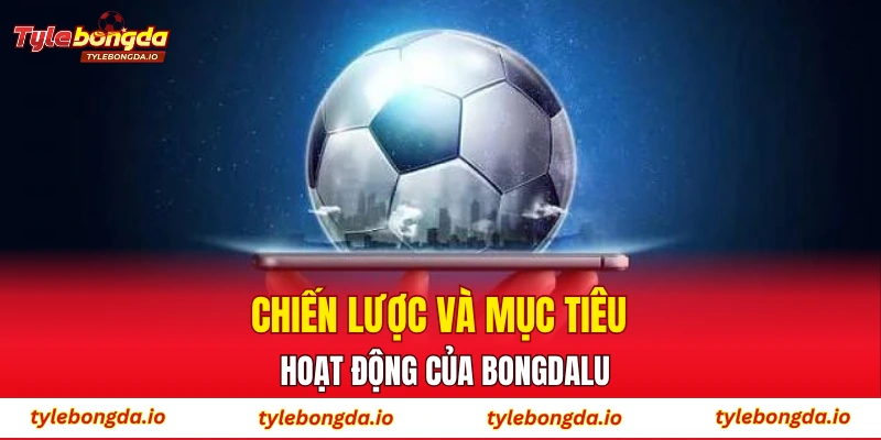 Chiến lược và mục tiêu hoạt động của Bongdalu