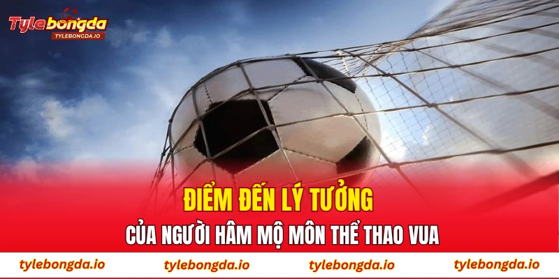 Điểm đến lý tưởng của người hâm mộ môn thể thao vua