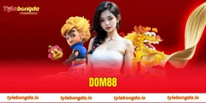 dom88