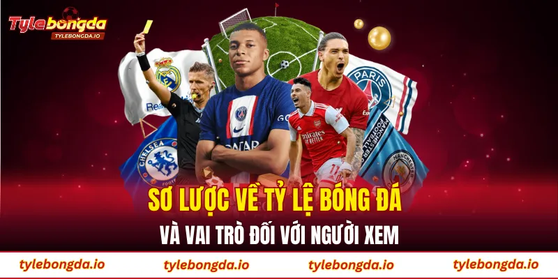 Sơ lược về tỷ lệ bóng đá và vai trò đối với người xem