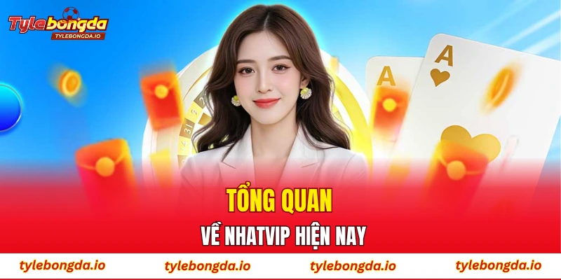 Tổng quan về NHATVIP hiện nay